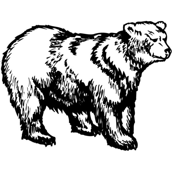 BEAR018 Thumbnail