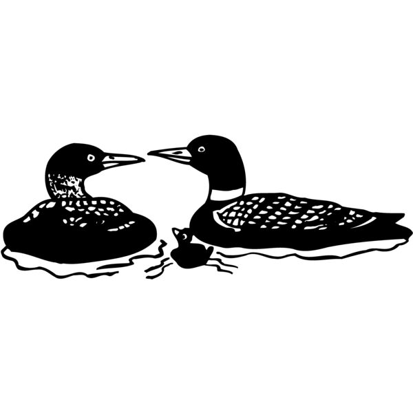 BIRD085 Thumbnail