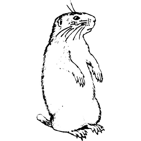 GOPHER01 Thumbnail